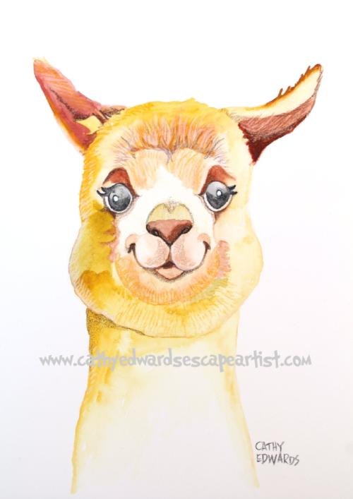 Llama Watercolour